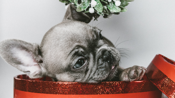 5 Creative Ways to Engage Consumers and Boost Sales Over the Holidays